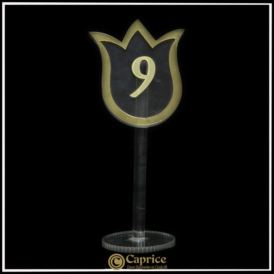 Numaratör Modelleri CO1