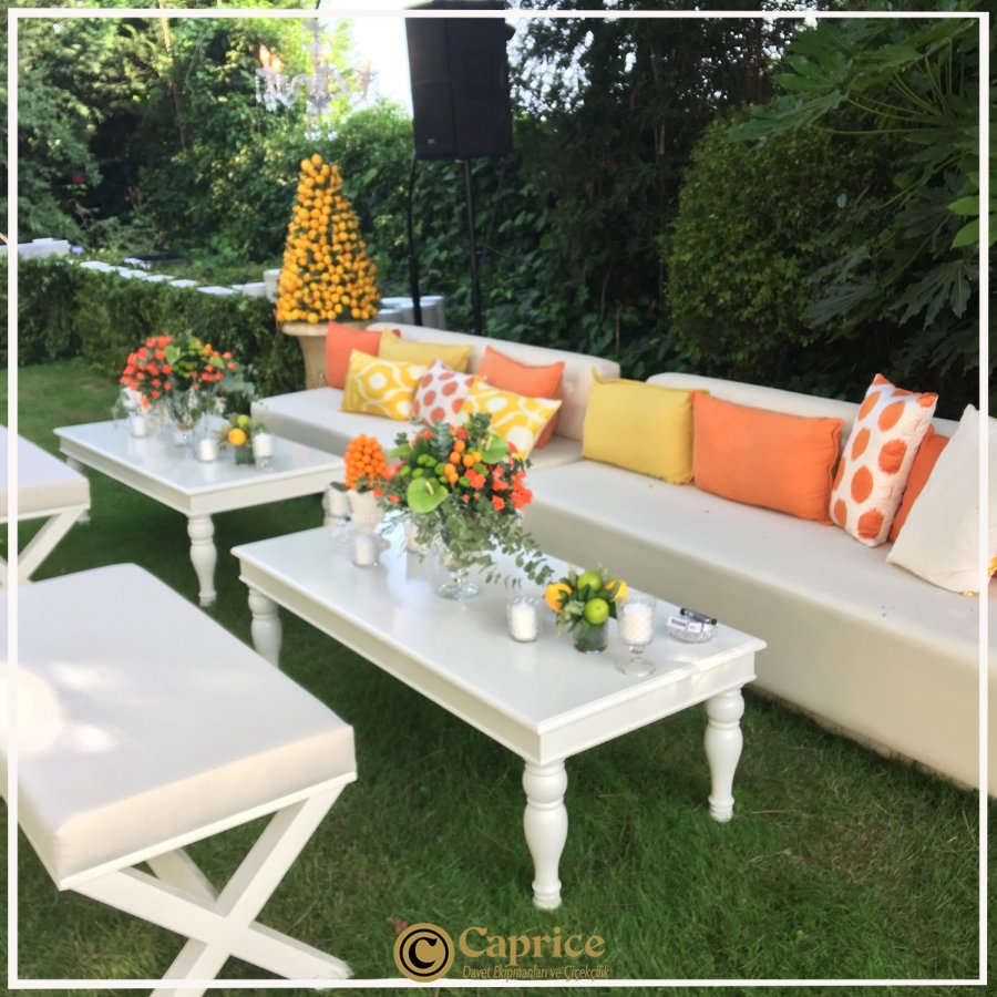 Davet Oturma Gurupları CO1